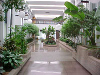 bhuilding_image